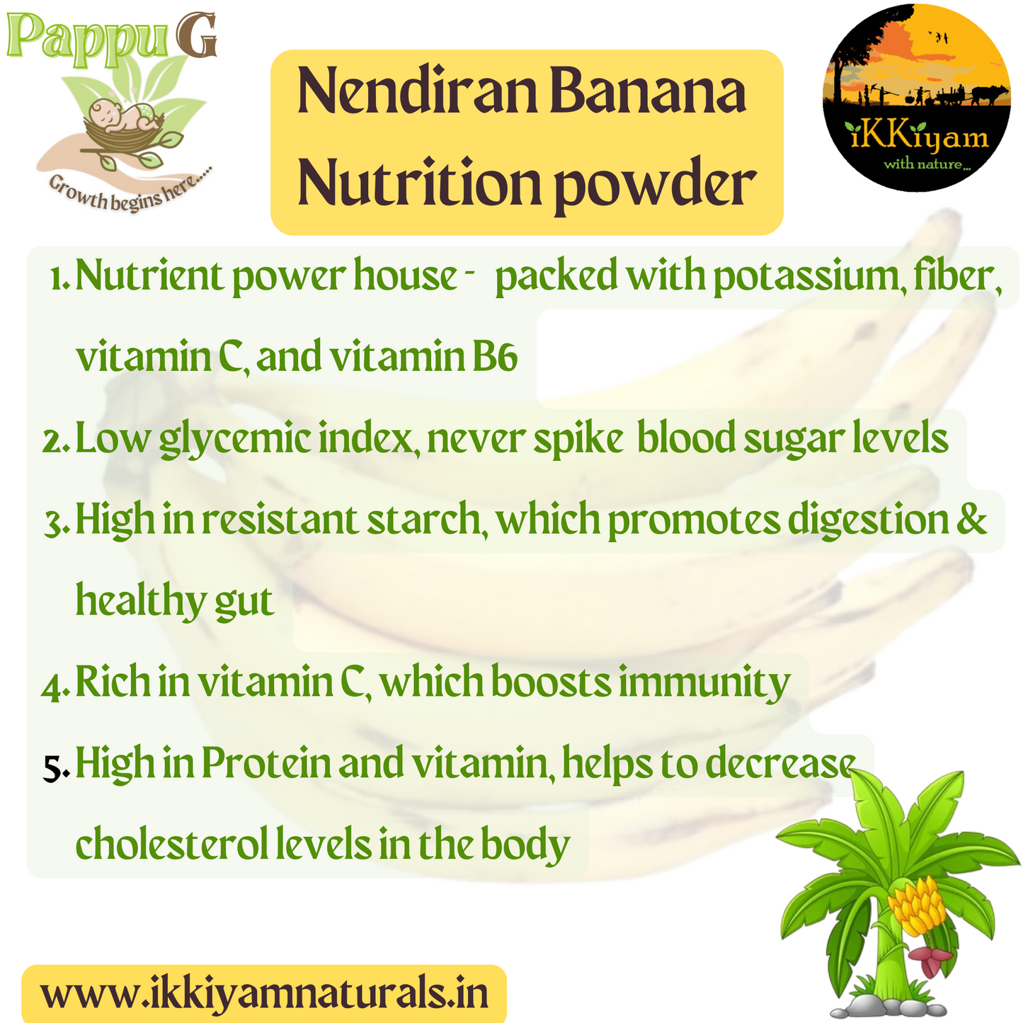 Nendiran Banana Nutrition powder 100g