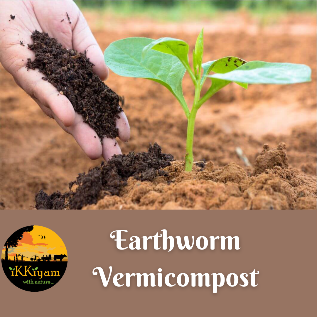 ikkiyam Natural Earthworm manure | Vermicompost | 1 kg for plants