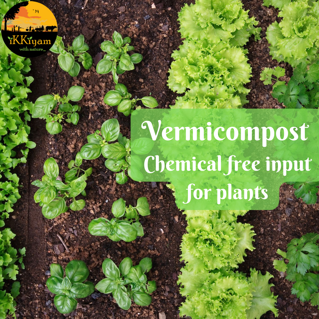 ikkiyam Natural Earthworm manure | Vermicompost | 1 kg for plants