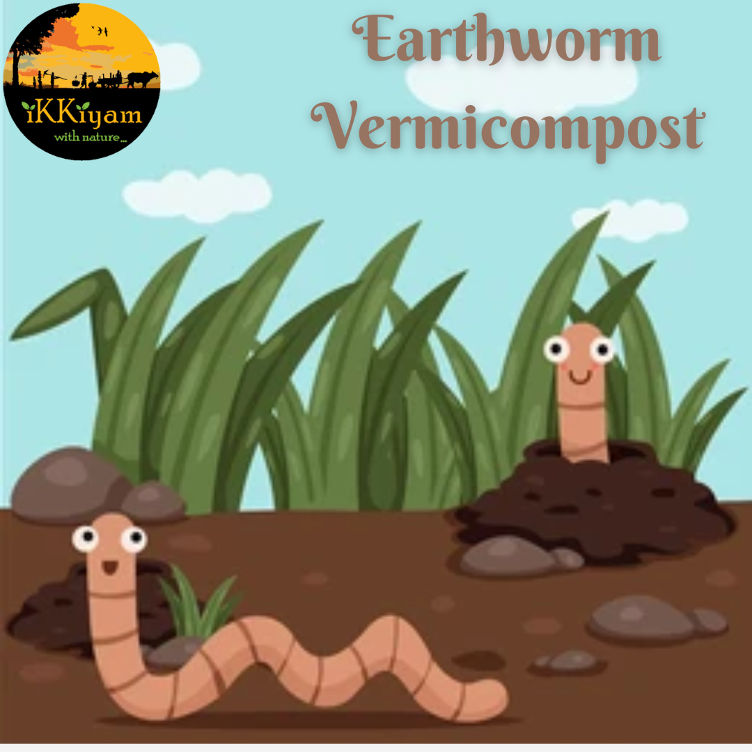 ikkiyam Natural Earthworm manure | Vermicompost | 1 kg for plants